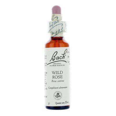 [BACH37] Wild Rose No.37 drops 20ml - BACH FLOWER