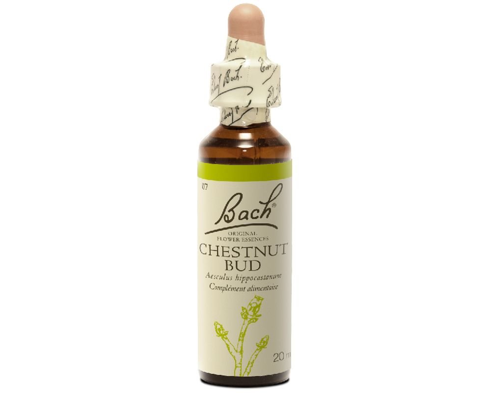 [BACH7] CHESTNUT BUD No.7 - 20ml - BACH FLOWER