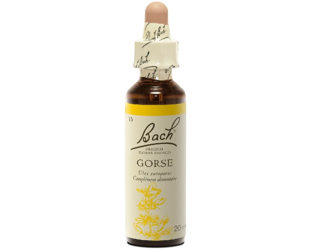 [BACH13] GORSE No.13 - 20mn - BACH FLOWER