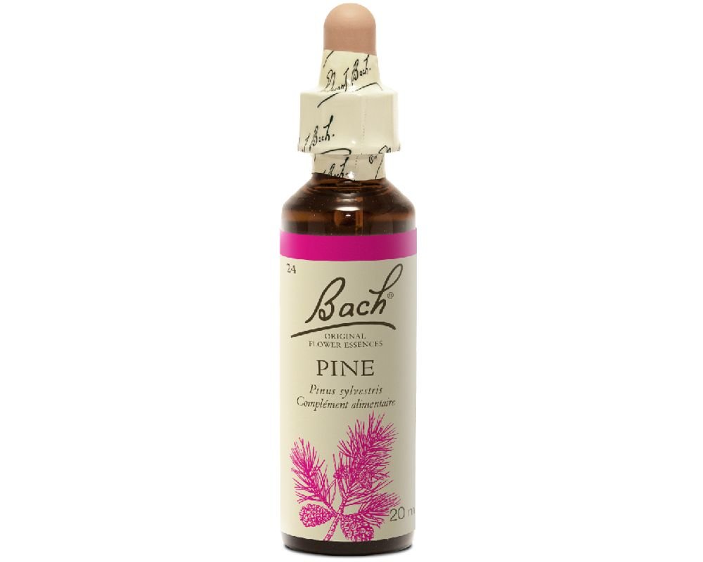 [BACH24] PINE No.24 - 20ml - BACH FLOWER