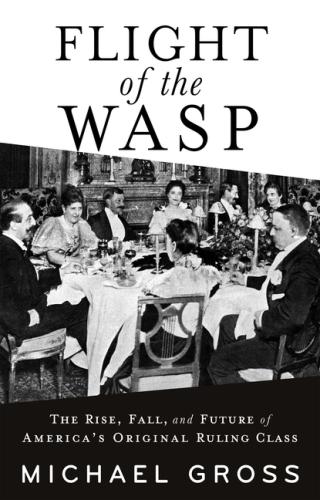 Flight Of the Wasp