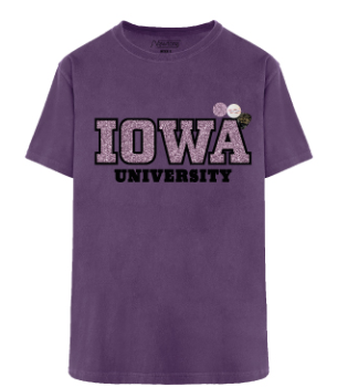 T.Shirt Trucker University Iowa - NEWTONE