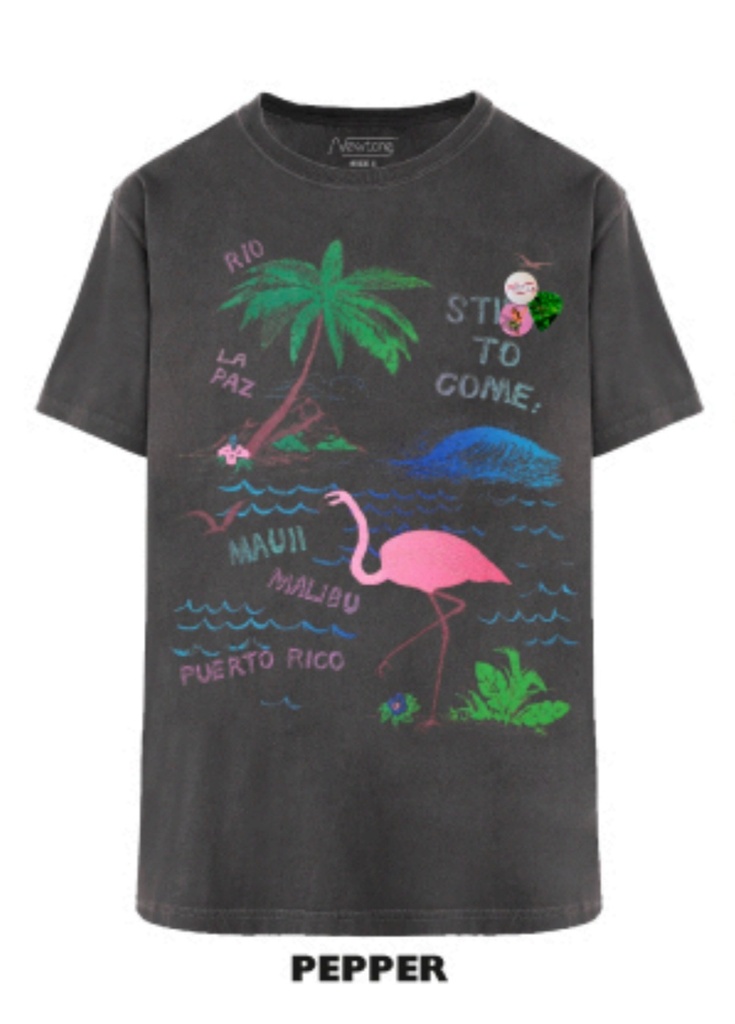 [SS25TSTFLAM] NEWTONE - T-Shirt Trucker Flamingo
